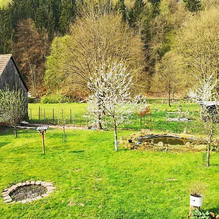 Sinnglueck